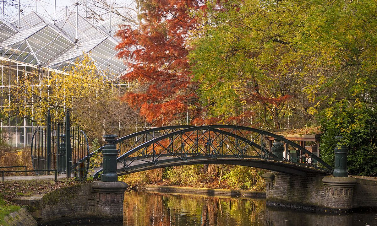 Hortus Botanicus Amsterdam